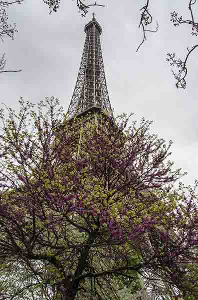 08 - Francia - Paris - torre Eiffel.jpg